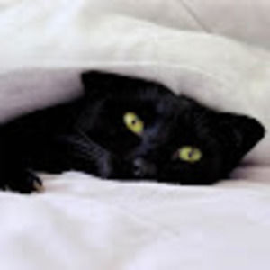 Meet your Posher, Darlene